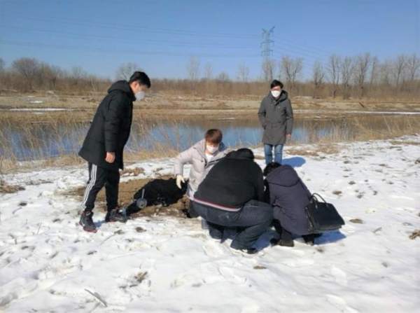 韦德官方网站流域投资公司引发一线新动能 篡夺抗疫出产“双成功”