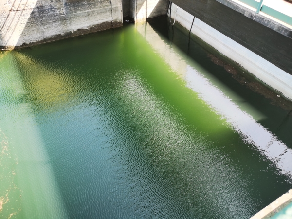 �������ʺ�