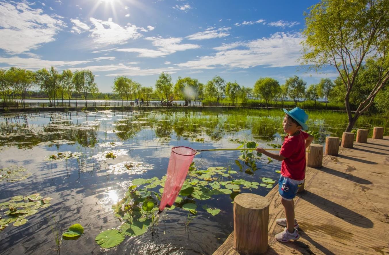 ��ƽ����ͯȤ