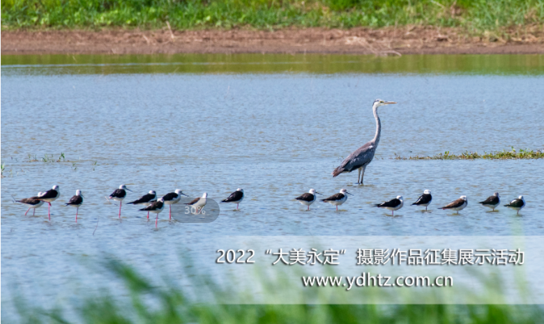 �����조������������Ӱ����� �ڶ�����Χ�������ʳ�¯