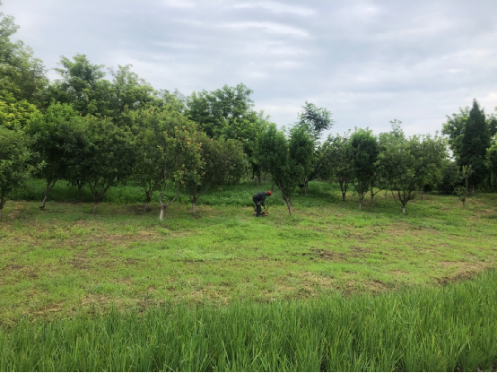 ����ж������⹫԰PPP��Ŀ˳��ͨ��2022���°�����ά��Ч���