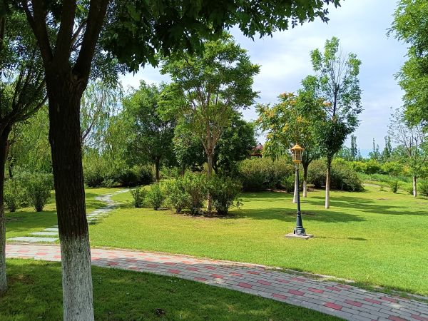 天津市东丽郊外公园PPP项目顺利通过2022年上半年运维绩效查核