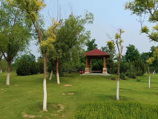 天津市东丽郊外公园PPP项目顺利通过2022年上半年运维绩效查核