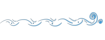 Я���ƶ��ӻ��������������ڽӵ���һ�廯��������չ