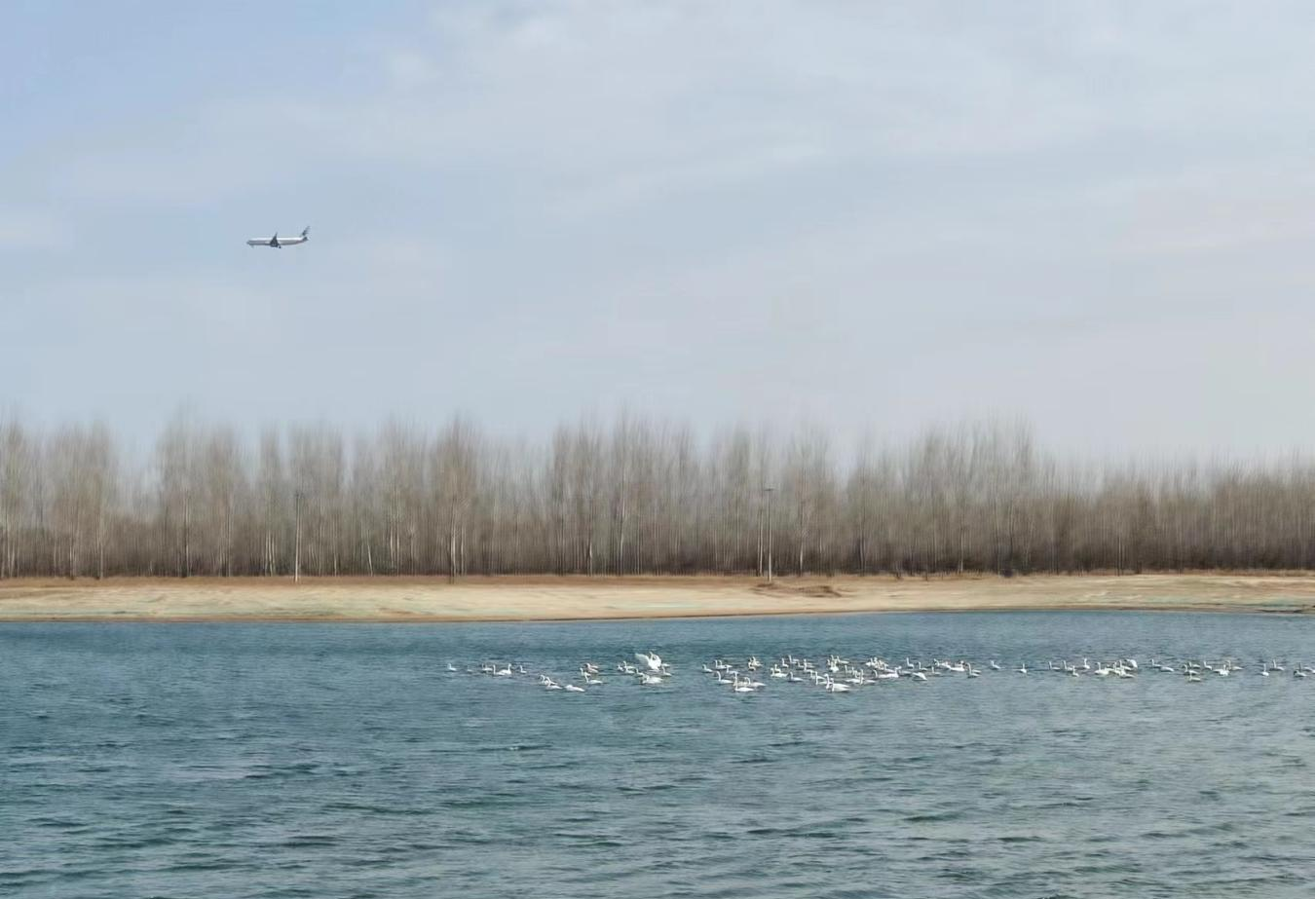 Τ�¹ٷ���վ�ٷڶ�ӭ�����ն�