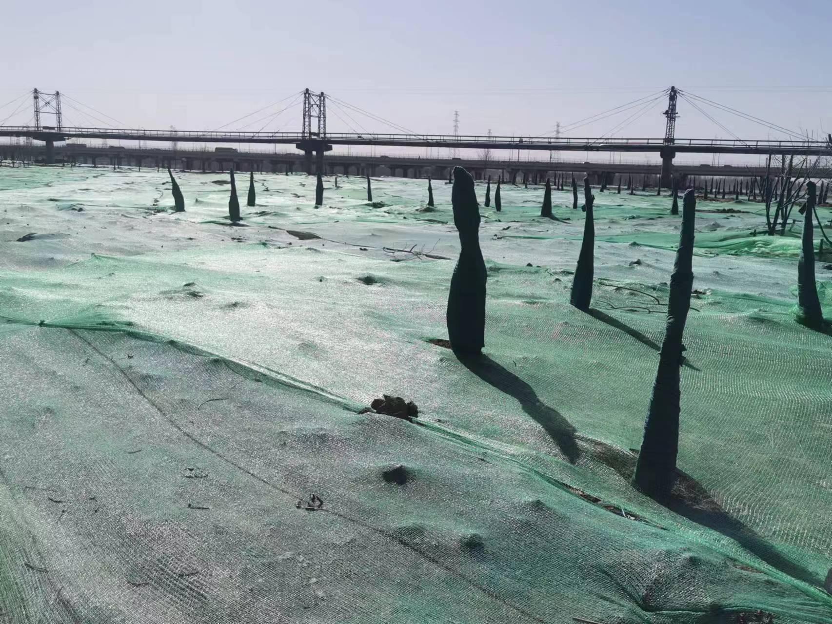 Τ�¹ٷ���վ�ۺ�������������Ѹ��Ӧ��ɳ����ɫԤ��