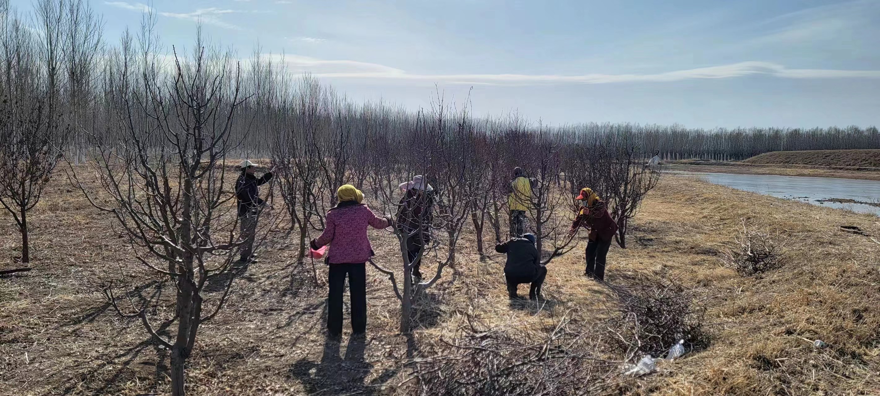 ����������  ԰������æ