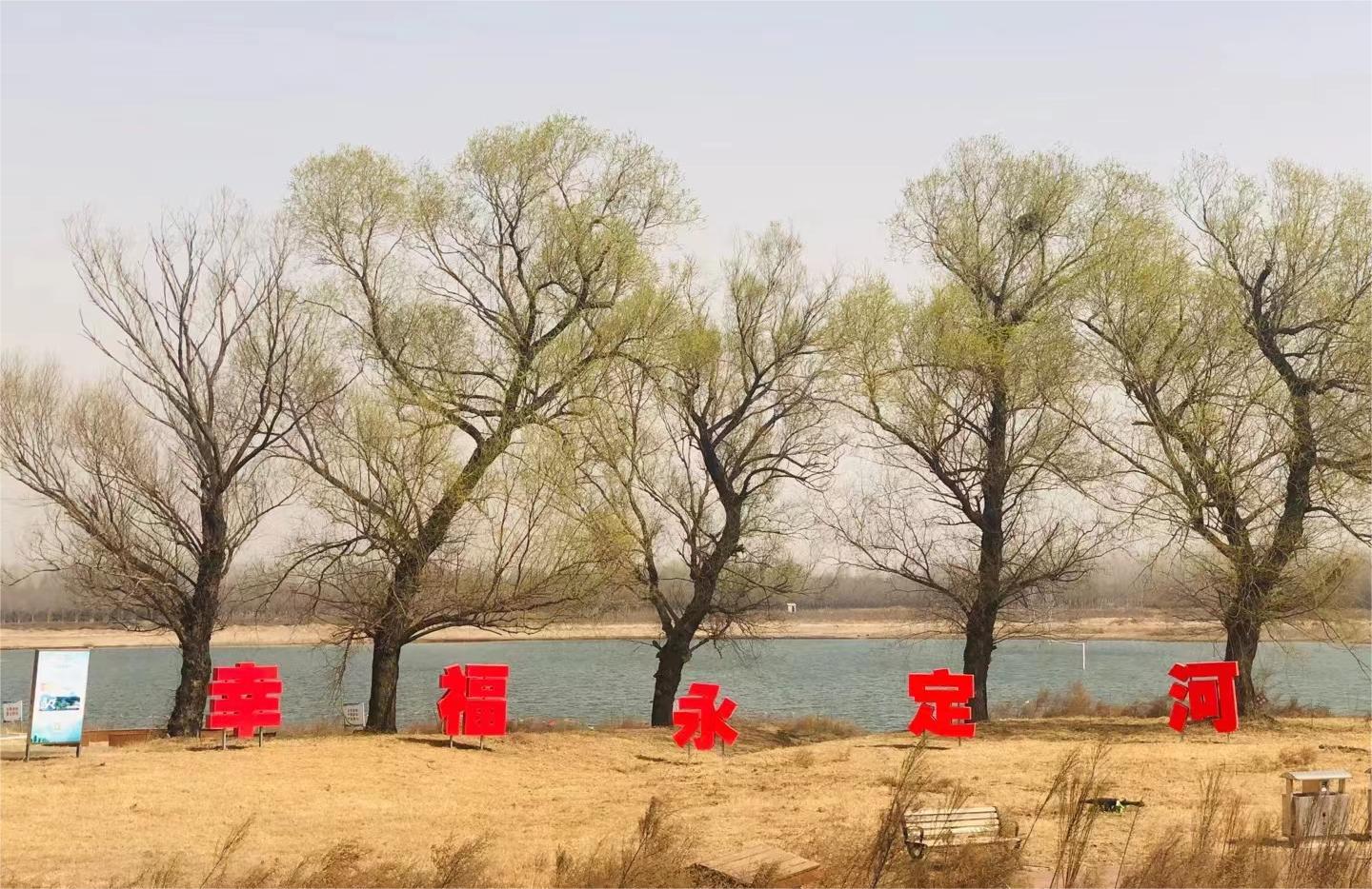 ����������  ԰������æ