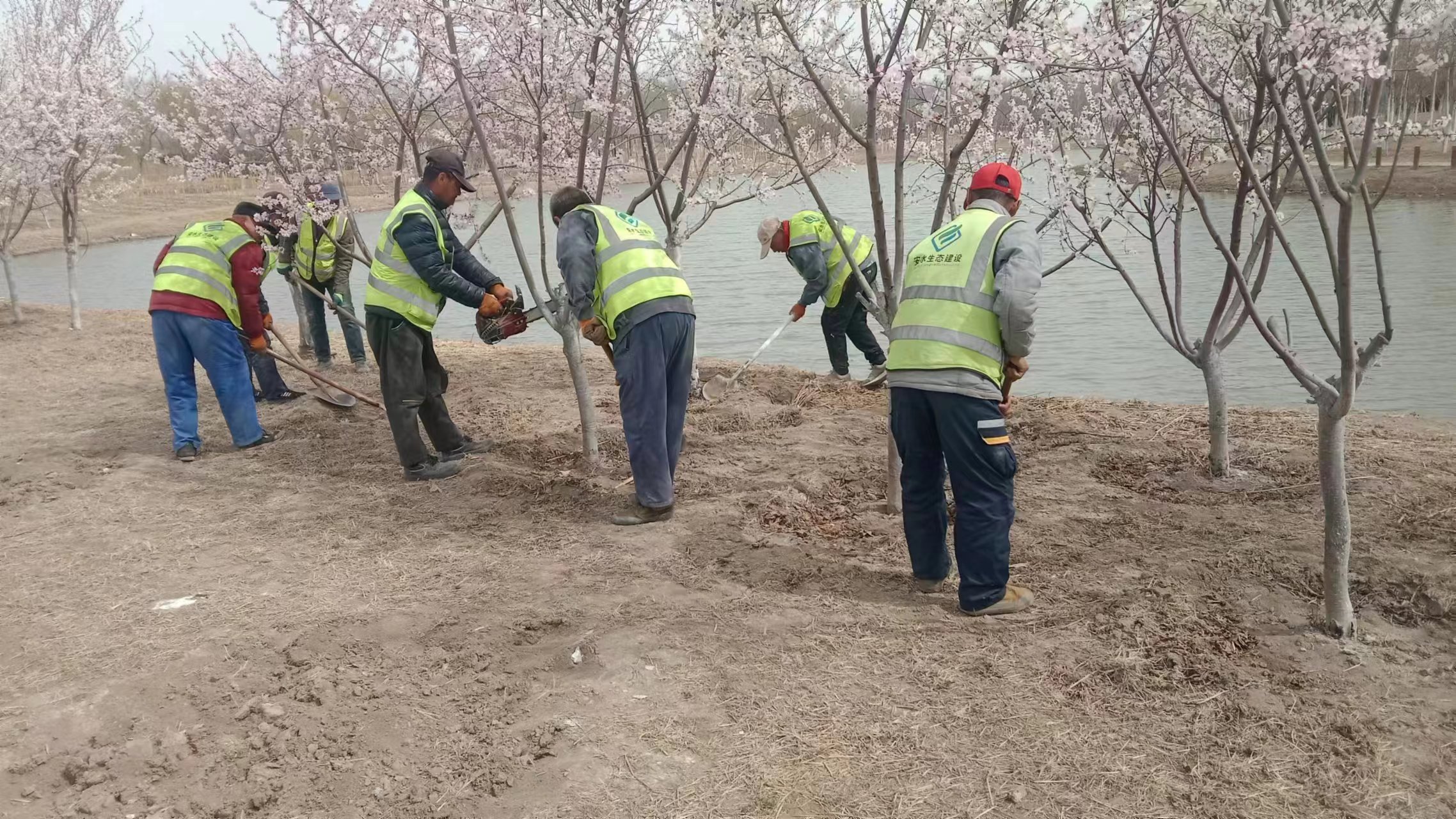 ����������  ԰������æ